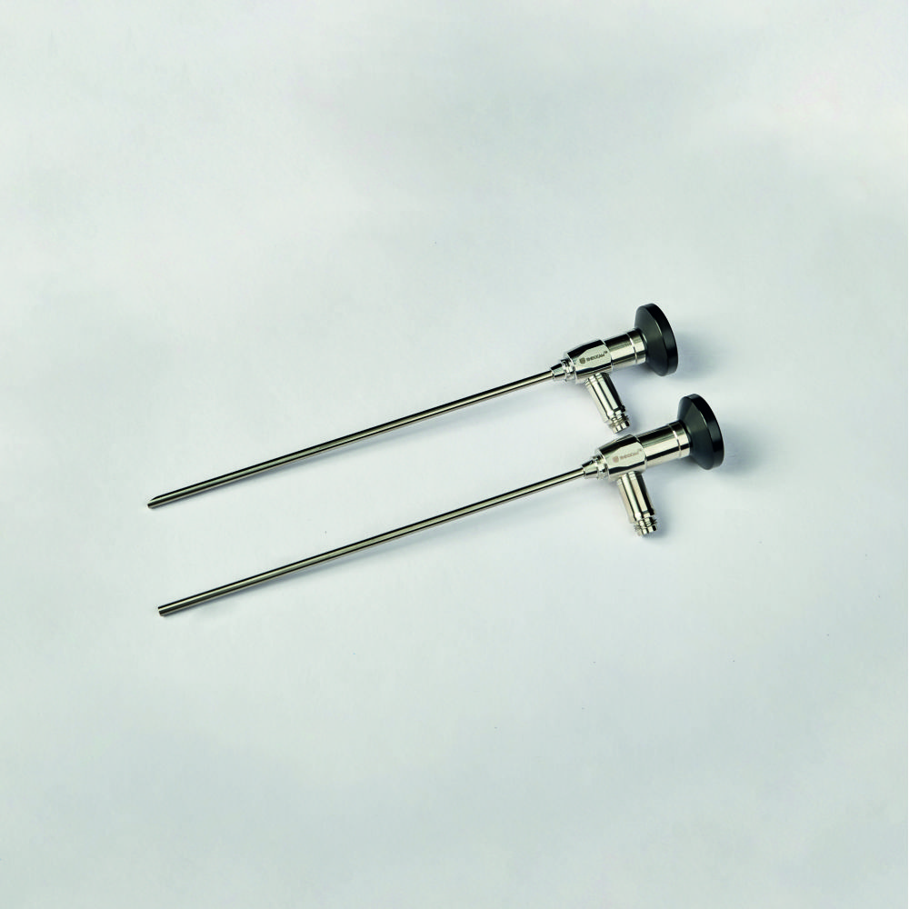 rigid endoscope